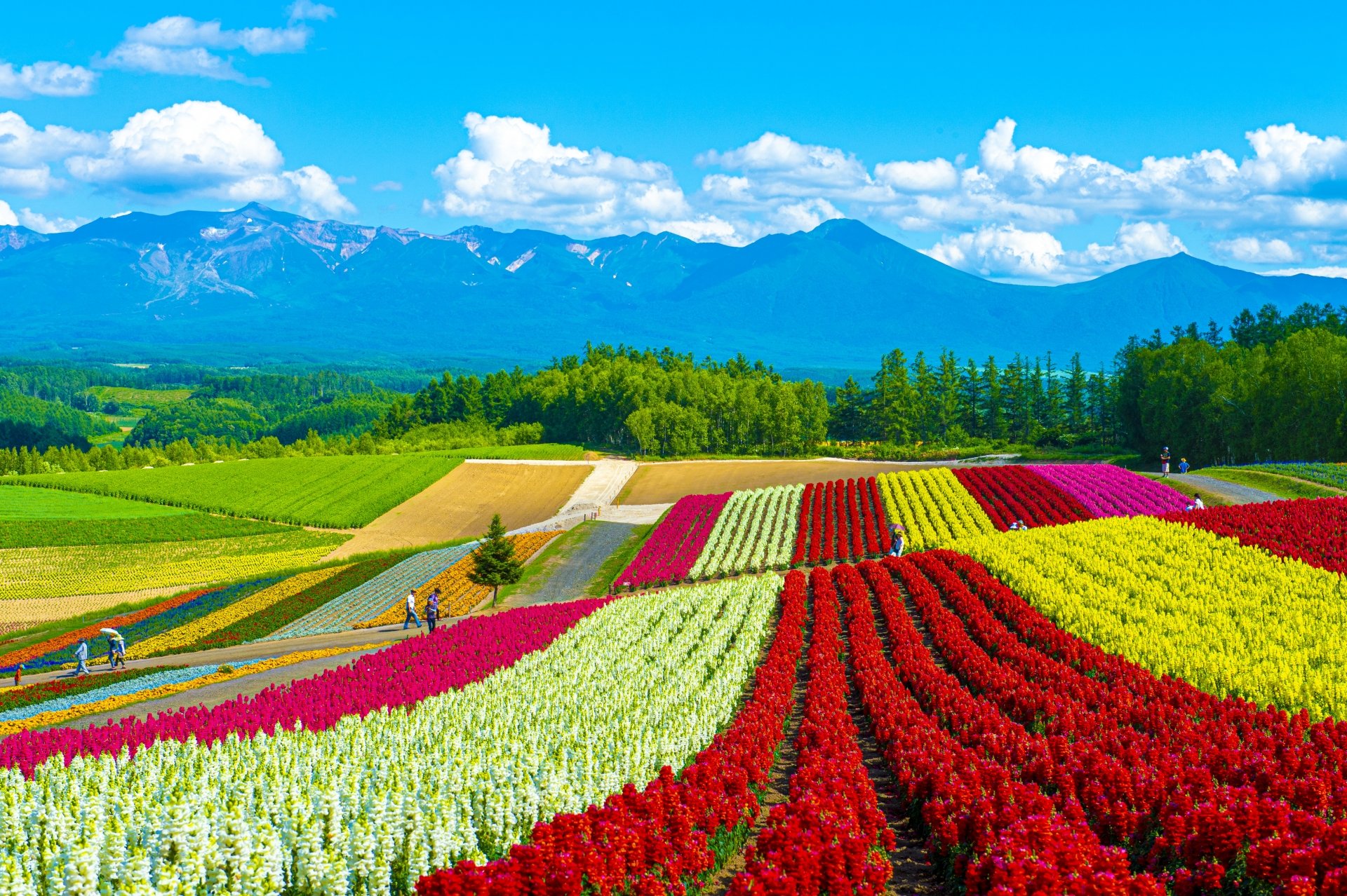 MÙA THU HOKKAIDO
